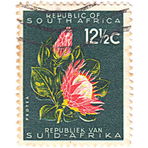 South Africa 1964-72 Definitives 12 1/2c Protea Used SG 247 stamps on sale