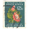 South Africa 1964-72 Definitives 12 1/2c Protea Used SG 247 stamps on sale