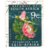 South Africa 1964-72 Definitives 9c Protea Used SG 245a stamps on sale