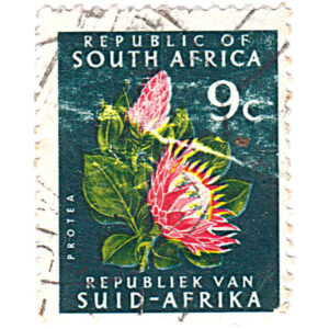 South Africa 1964-72 Definitives 9c Protea Used SG 245a stamps on sale