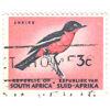 South Africa 1961 Definitives 3c Burchell's Gonolek SG 203 stamp on sale