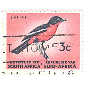 South Africa 1961 Definitives 3c Burchell's Gonolek SG 203 stamp on sale