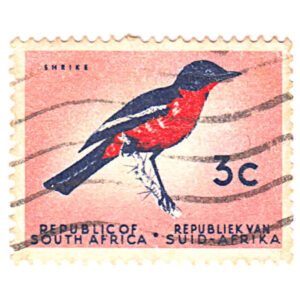 South Africa 1961 Definitives 3c Burchell's Gonolek SG 203 stamps on sale