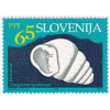 Slovenia 1993 Cave Fauna 65t Zospeum Spelaeum Mint SG 215,stamps on sale