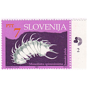 Slovenia 1993 Cave Fauna 7t Monolistra Spinosissima Mint SG 212 with Selvedge stamps on sale