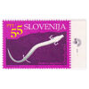 Slovenia 1993 Cave Fauna 55t Proteus Anguinus Mint SG 214 with Selvedge stamps on sale